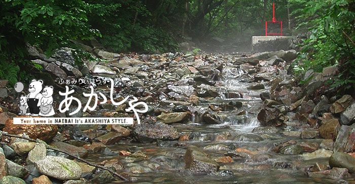 ��������̐���