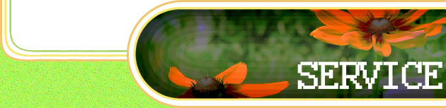 ���T�y�[�W